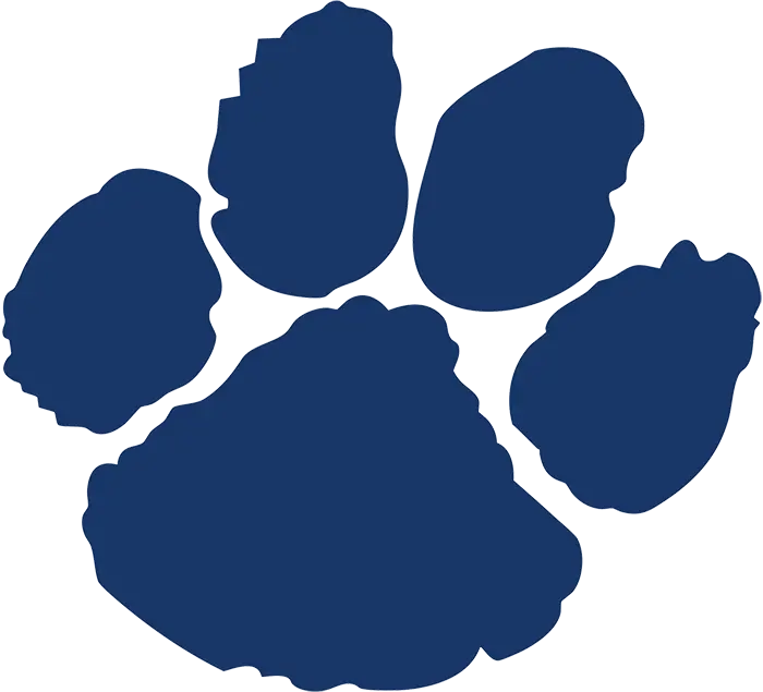 Pittsford Panthers Football